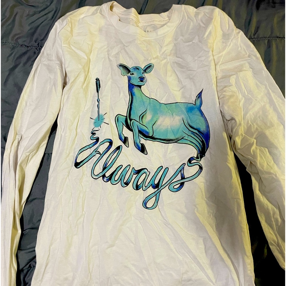 Long detailed sleeve Harry Potter top